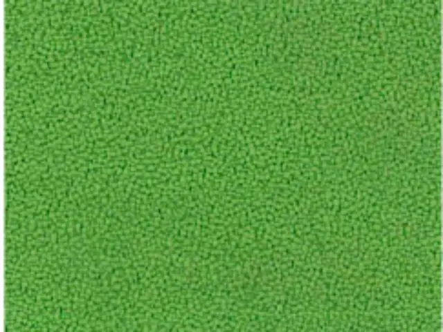 Imagen Asiento basic verde- respaldo malla gris