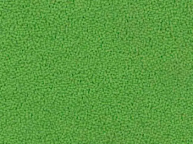 Imagen Basic verde claro (Greenery)