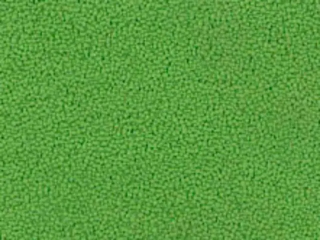 Imagen Asiento basic verde- Malla negra