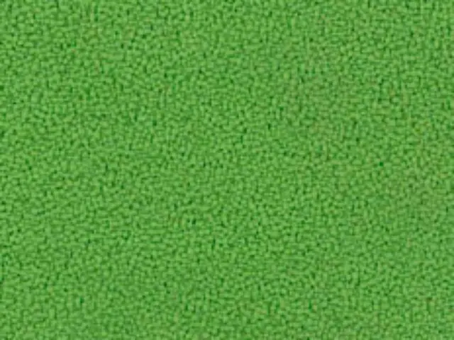 Imagen Asiento basic verde claro (Greenery) - Respaldo malla negra