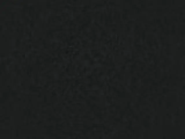 Imagen Asiento basic negro - Respaldo malla gris