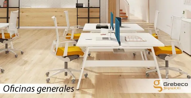 Imagen Conjunto Bench doble con paneles separadores tapizados 3