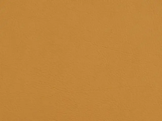 Imagen Valencia camel 