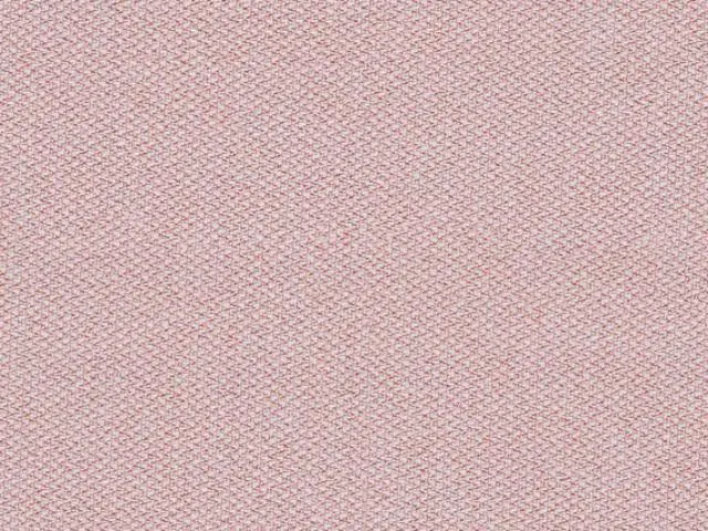Imagen Respaldo malla blanco - Asiento tapizado rosa calendar