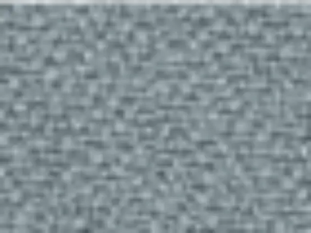 Imagen Respaldo y asiento tapizado gris claro 