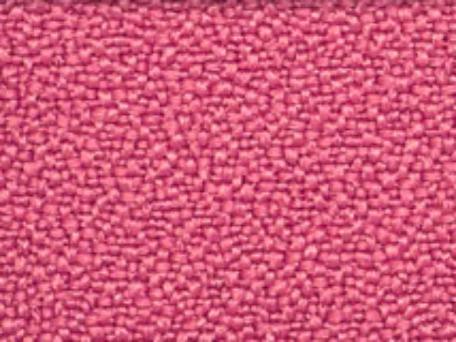 Imagen Asiento y respaldo tapizado basic rosa