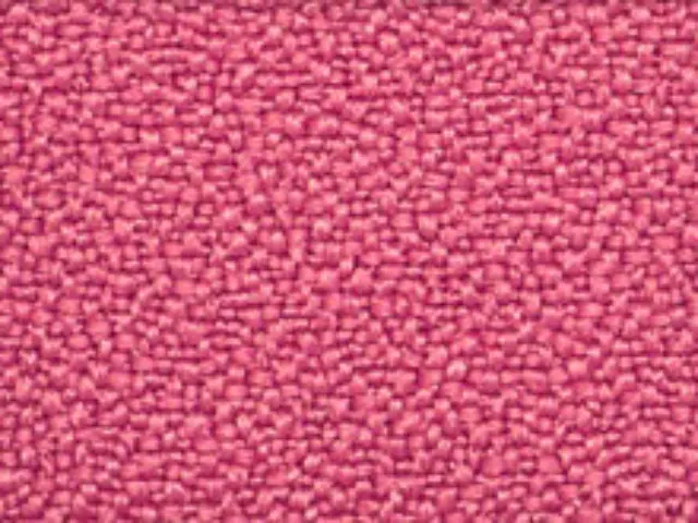 Imagen2 Asiento y respaldo tapizado basic rosa
