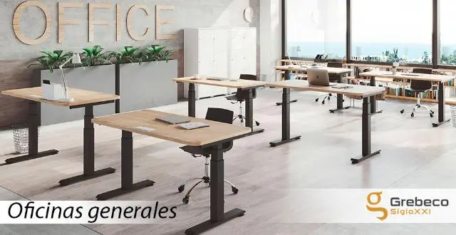 Imagen Mesa rectangular regulable en altura con botonera basic 