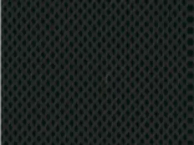Imagen Respaldo malla H negro - Asiento tapizado Gris oscuro