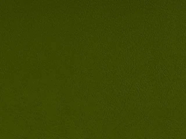 Imagen Polipiel Verde 