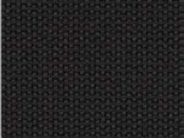 Imagen Respaldo Negro Q-Asiento basic Coral 