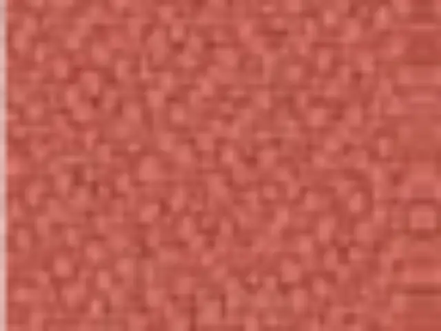 Imagen2 Respaldo Negro Q-Asiento basic Coral 