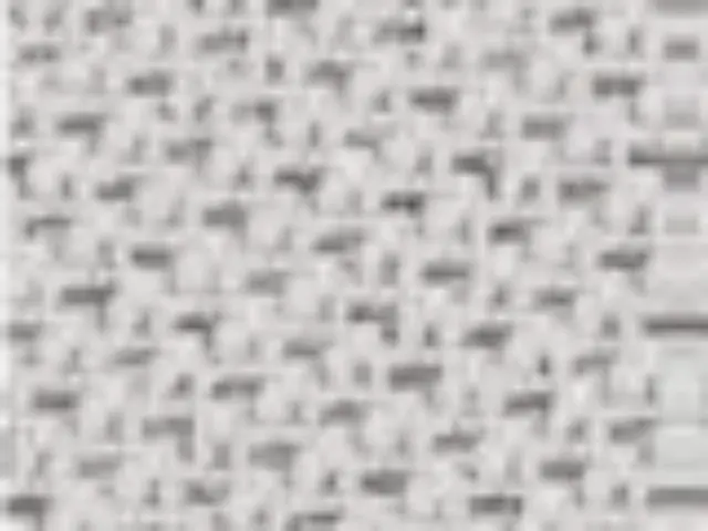 Imagen2 Respaldo AL gris - Asiento AO gris