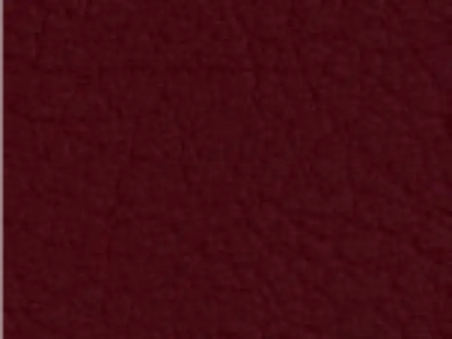 Imagen Valencia Rojo Vino