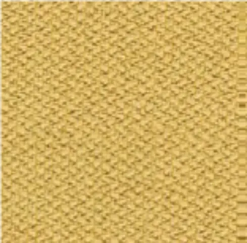 Imagen2 Asiento era beige claro -Respaldo era amarillo