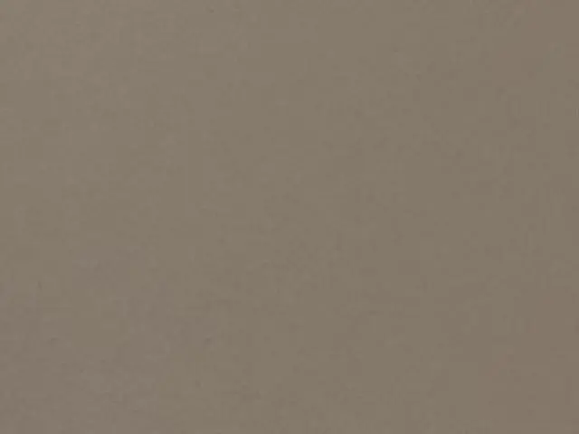 Imagen2 Roble viejo - Estantes Tierra