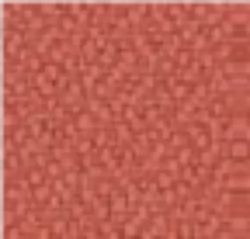 Imagen Tapizado Coral