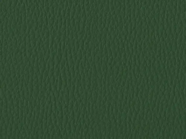 Imagen Polipiel Verde oscuro 